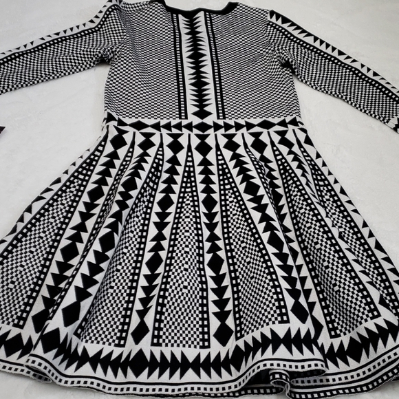 Nina Leonard Geometric Fit and Flare Dress - Picture 9 of 10